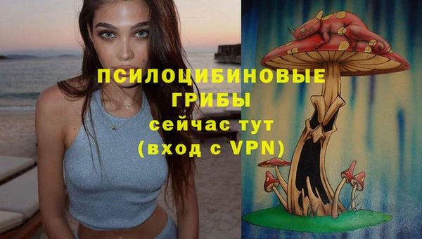 индика Алексеевка