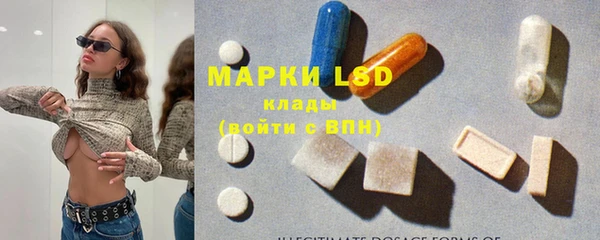 индика Алексеевка