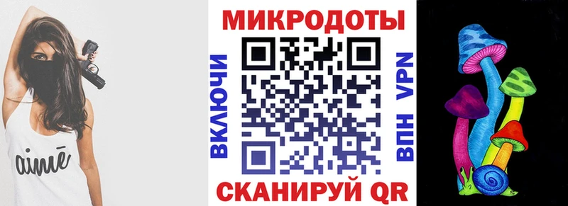 дарнет шоп  Анапа  Галлюциногенные грибы Psilocybe 