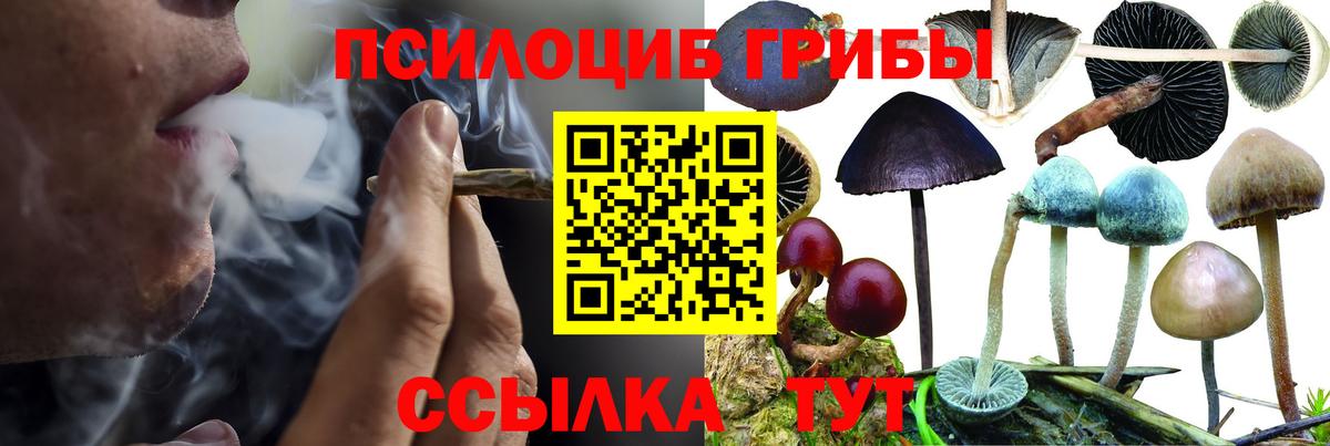 Галлюциногенные грибы Psilocybine cubensis  Вход с VPN  как найти   Анапа 